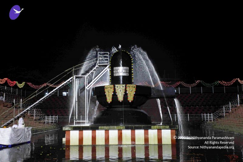 File:20101122IMG 2254 CMP WM1111.jpg