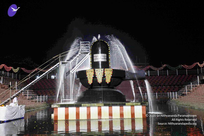 File:20101122IMG 2255 CMP WM1111.jpg