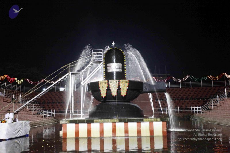 File:20101122IMG 2257 CMP WM1111.jpg