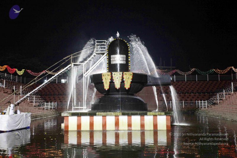 File:20101122IMG 2258 CMP WM1111.jpg