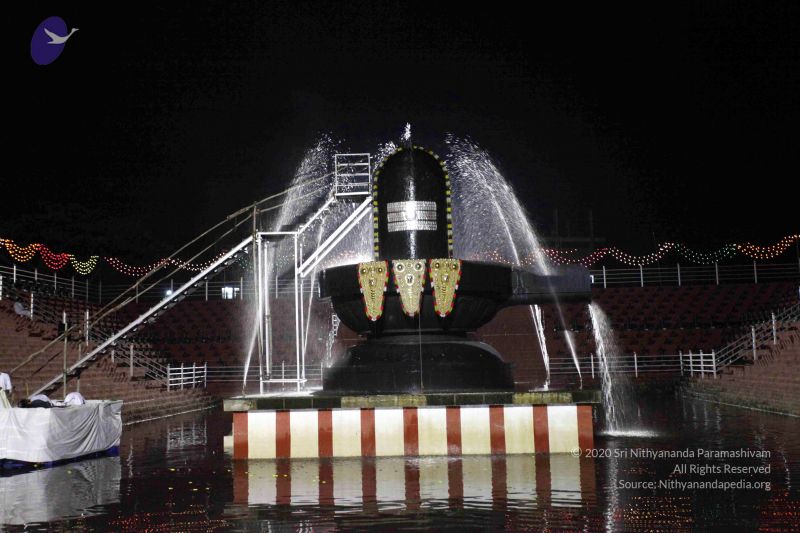 File:20101122IMG 2259 CMP WM1111.jpg