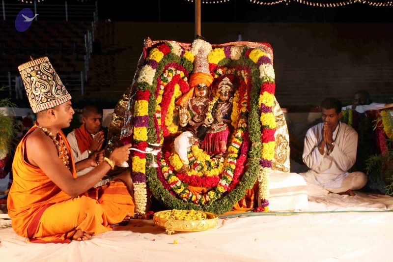 File:20101122IMG 2291 CMP WM1111.jpg