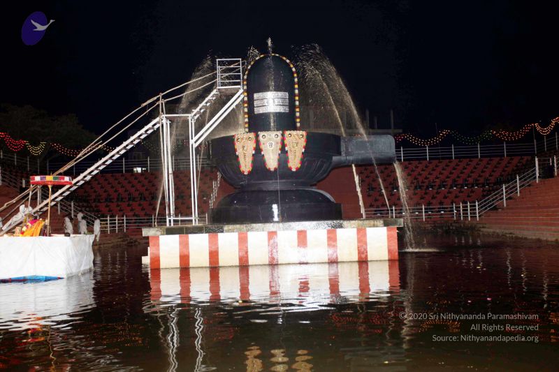 File:20101122IMG 2307 CMP WM1111.jpg