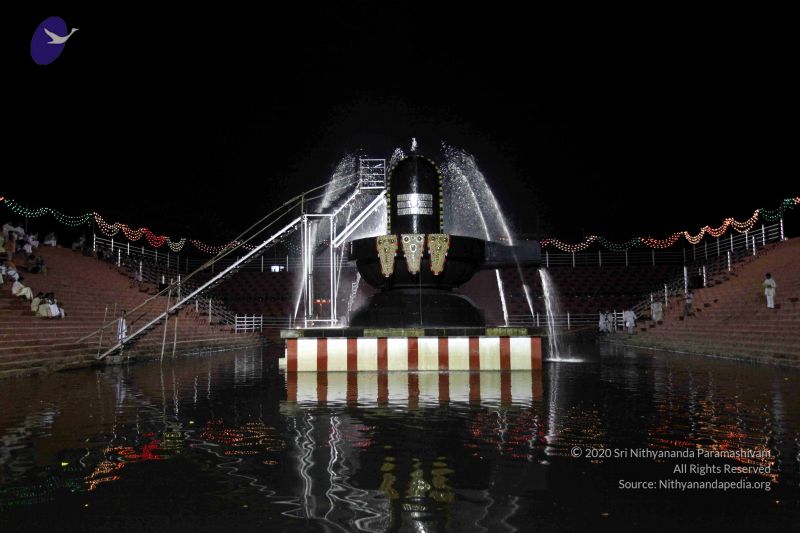 File:20101122IMG 2317 CMP WM1111.jpg