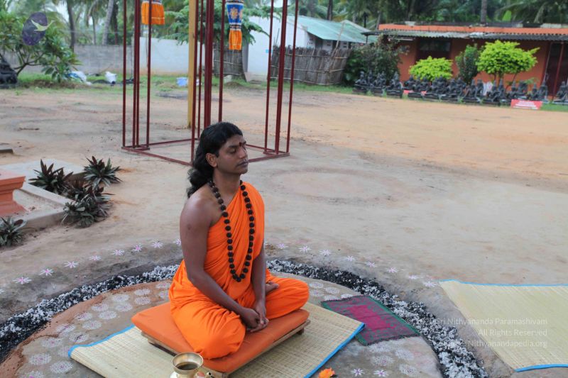 File:20101123 Photo 1012 1dstBkZJZ6f2ZQ9hhM1JLY9YcdtgZNyXo.JPG