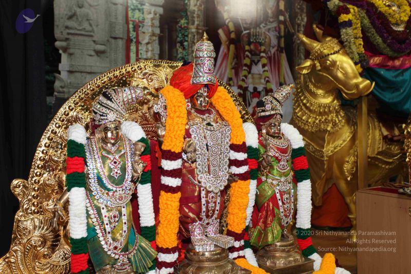 File:20101123 Photo 1063 1sT71v6KgnaILf0pTc0Dt6NyFgopjhppr.JPG