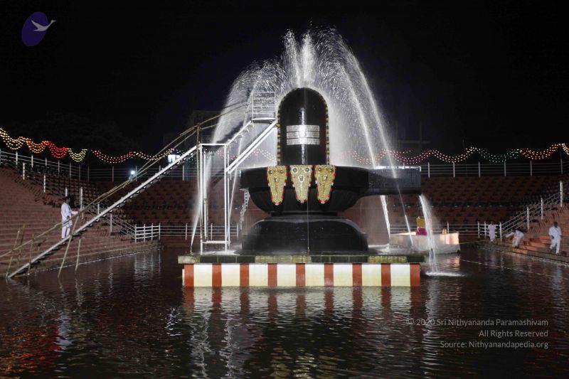 File:20101123 Photo 1194 1gpKzgV6Oiblw3zRmjfOGaq0BuImsbQIr.JPG