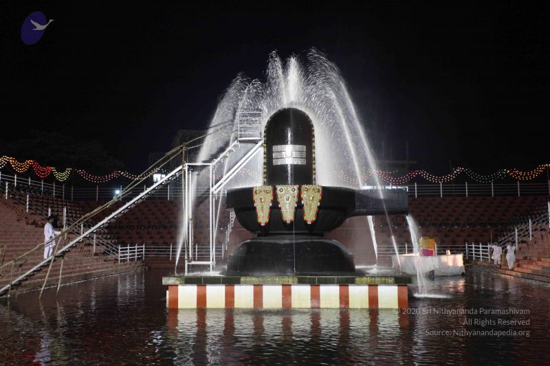 File:20101123 Photo 1195 1n2cEBeIyATqYF2endYwWc3z3Sleh7z29.JPG