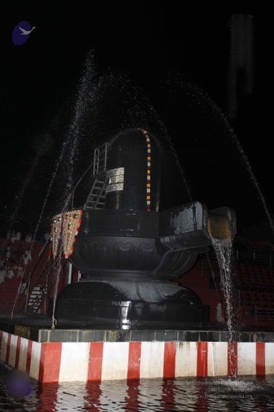 File:20101123 Photo 1253 1Gu4qZfhYK1dAkrkPkhDdBCU8ezgZzsvU.JPG
