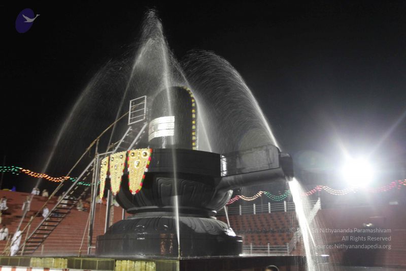 File:20101123 Photo 1267 1sn8UkebKWwj343FzfslpSD0CsJT3Q6Xo.JPG
