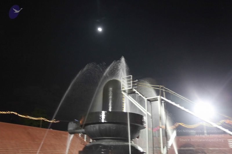 File:20101123 Photo 1285 13Zq1h6t-QY4wu9qIliZA3RouRf6x8SzJ.JPG