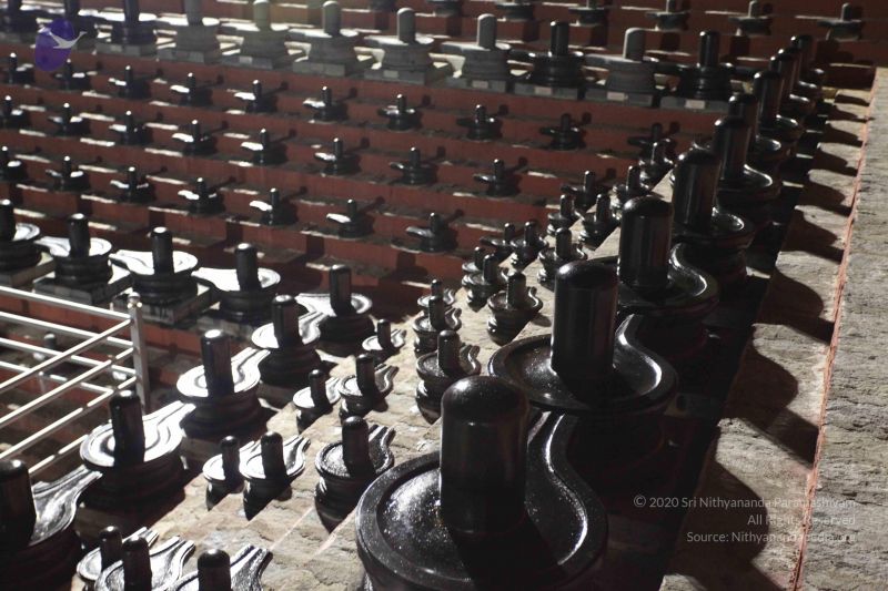 File:20101123 Photo 1324 1hr8M BJ6KUipVxV-9dBJKrXoz BA2ErG.JPG