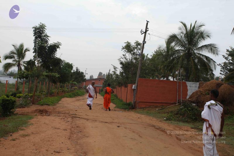 File:20101124 Photo 1054 1dbH0CaScu-7HdokWGKO2kKHXvrQW6 -c.JPG