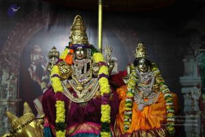 20101124 Photo 1114 1qETmS5hjne wss9sIPeFAtzDX96GuwIK.JPG