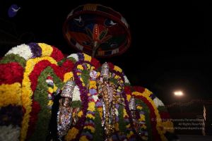 20101125 Photo 1015 1ScWYoNDIzmmjrB2DXXosdIfdQeNoQUTG.JPG