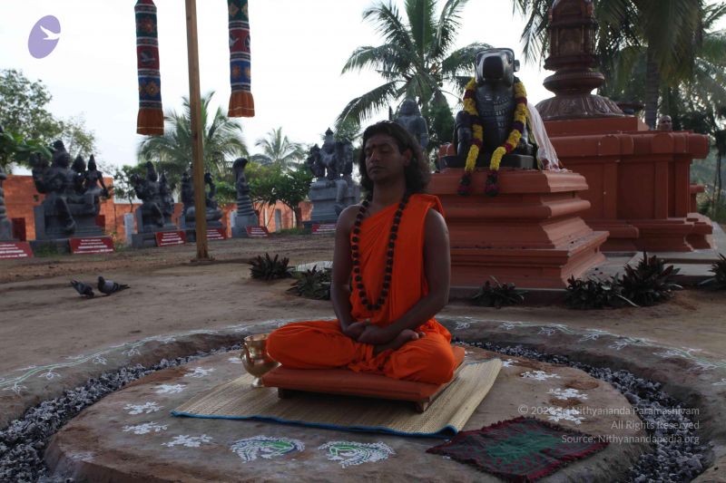 File:20101125 Photo 1045 1y 2C2BFpa6T0hjsi1iH6eM5jsech5GQC.JPG