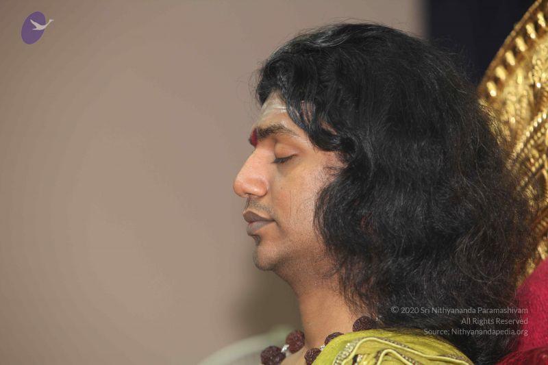 File:20101125 Photo 1140 11fUsmn74NyetLQ9JKyqmfIdabF JICXw.JPG