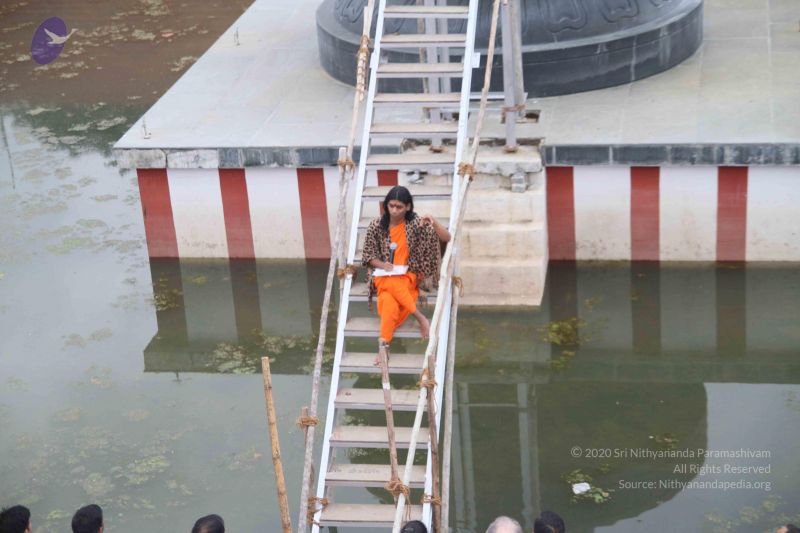 File:20101202 Photo 1008 1OoCRT5SP-7tALGmx52TeNgBDF2tZwl1v.JPG