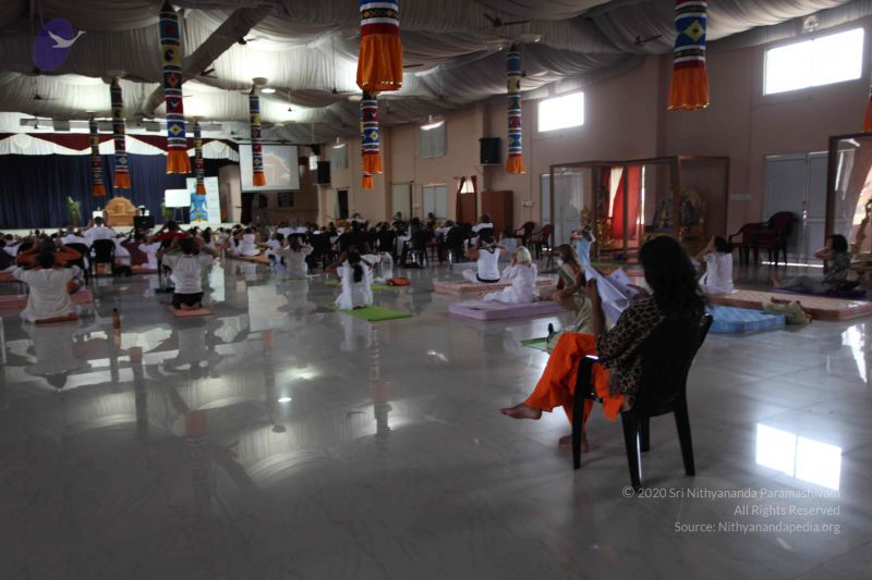 File:20101202 Photo 1348 1-mO rRj8sfLmjqRq3cGp7JW7QFpzCEc0.JPG