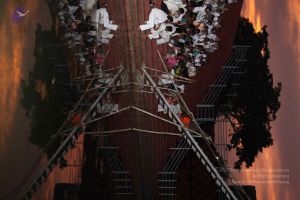 20101202 Photo 1462 1w2D4 g13P9iltuUtwJQ6iJPtHgsT0d6w.JPG