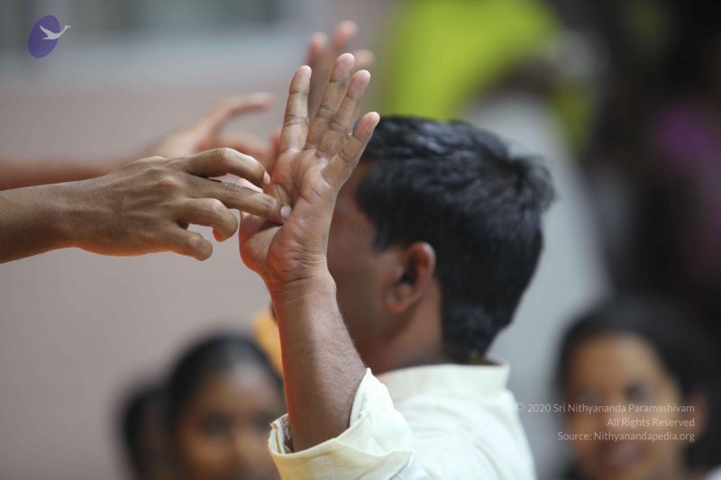 File:20101202 Photo 1733 1zS9HezN8SFiCix2whTMHsBCJzR6P6WB0.JPG