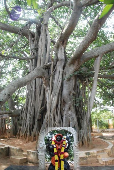 File:20101203 Photo 1001 13OBFUb0VMV2iY9GkIBgzSNVDO4V0ITAU.JPG