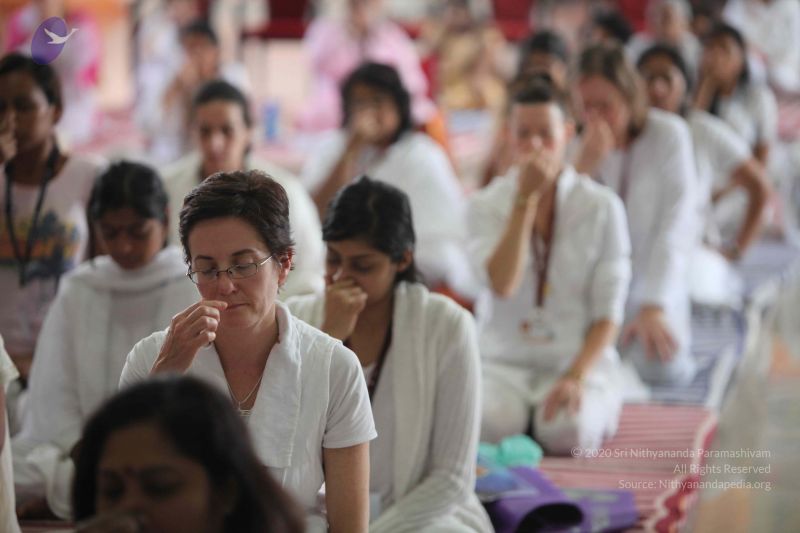 File:20101204 Photo 1329 1WSRY0b 7Rin1hvoUz1grn5PtmqB 0IPP.JPG