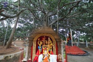 20101205 Photo 1004 1Ye-0zr7t128FD84ChIsw4A OU9FxLRLT.JPG