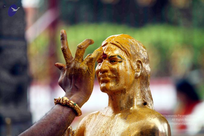 20101219 IMG 5941 CMP WM01.jpg