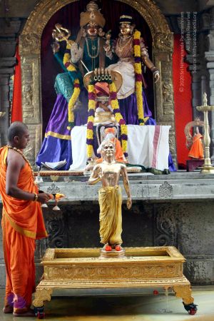 20101219 IMG 5997 CMP WM01.jpg