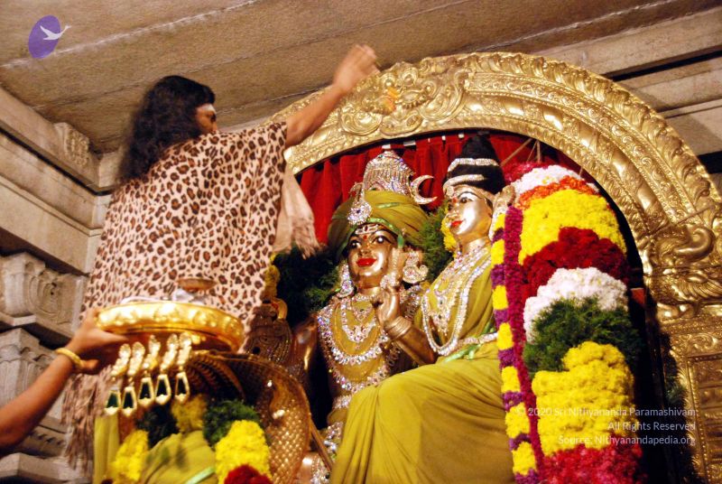 File:20101220DSC 1598 CMP WM0010.jpg