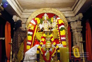 20101220DSC 1610 CMP WM0010.jpg