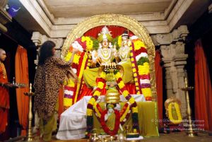 20101220DSC 1615 CMP WM0010.jpg