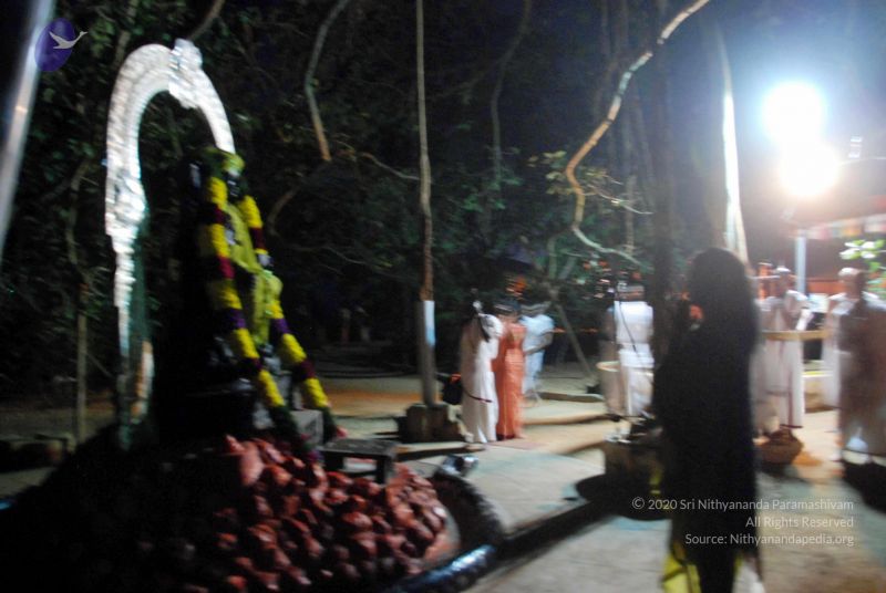 File:20101220DSC 1620 CMP WM0010.jpg