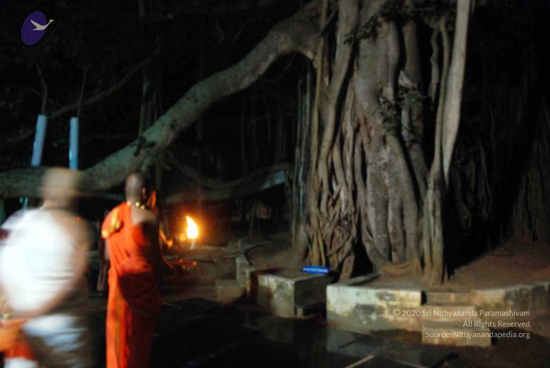 File:20101220DSC 1621 CMP WM0010.jpg