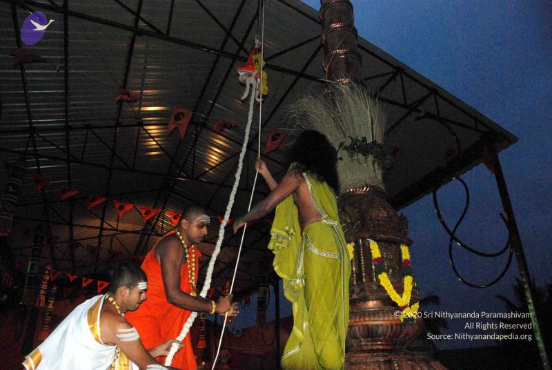 File:20101220DSC 1650 CMP WM0010.jpg