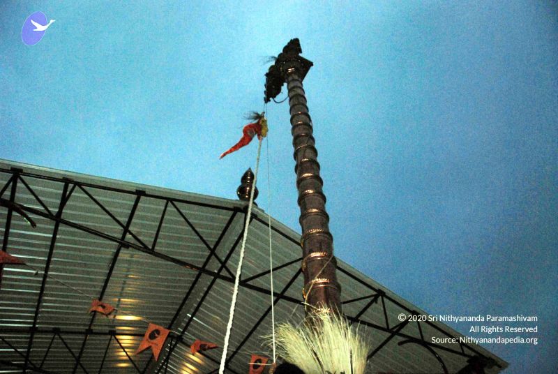 File:20101220DSC 1656 CMP WM0010.jpg