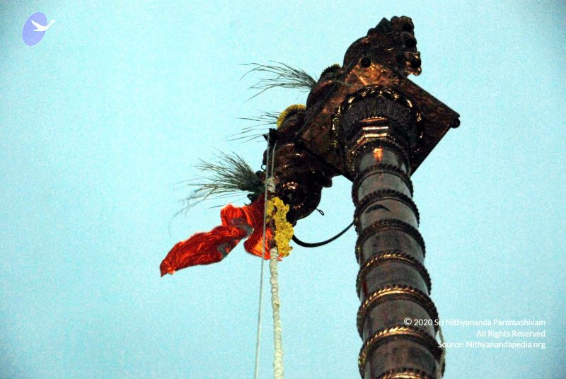 File:20101220DSC 1662 CMP WM0010.jpg