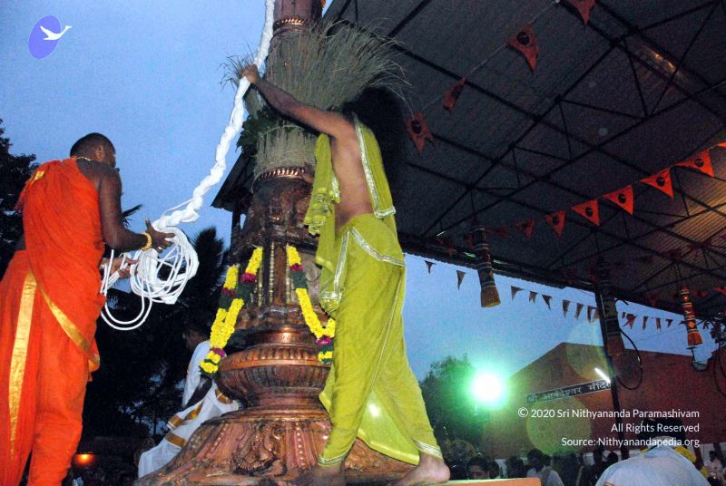 File:20101220DSC 1666 CMP WM0010.jpg