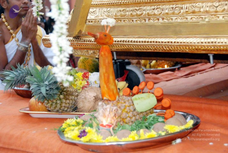 File:20101220DSC 1822 CMP WM1111.jpg