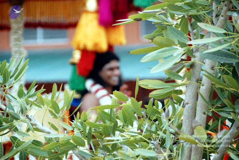 File:20101220DSC 1889 CMP WM1111.jpg