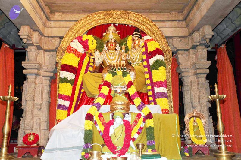 File:20101220IMG 6506 CMP WM0010.jpg