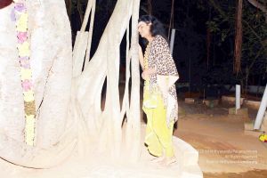 20101220IMG 6516 CMP WM0010.jpg