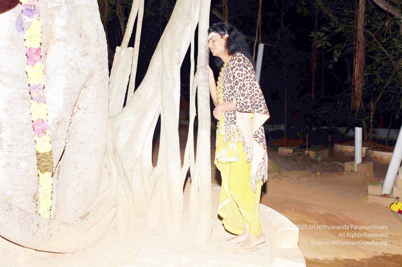 File:20101220IMG 6516 CMP WM0010.jpg