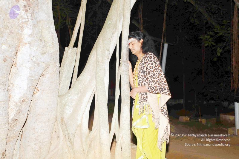 File:20101220IMG 6517 CMP WM0010.jpg