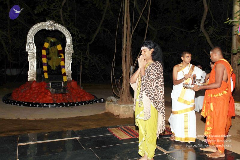 File:20101220IMG 6524 CMP WM0010.jpg