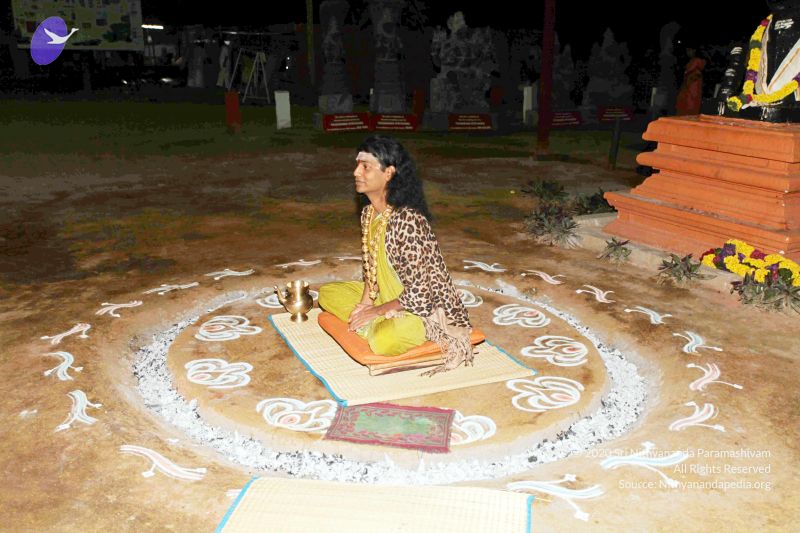 File:20101220IMG 6573 CMP WM0010.jpg