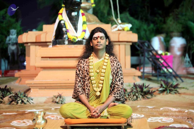 File:20101220IMG 6578 CMP WM0010.jpg