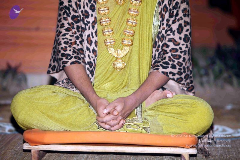 File:20101220IMG 6584 CMP WM0010.jpg