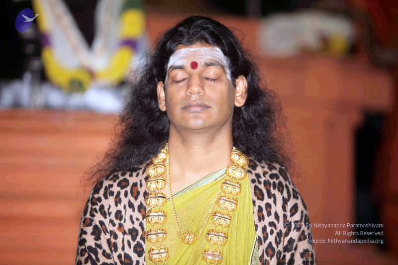 File:20101220IMG 6585 CMP WM0010.jpg